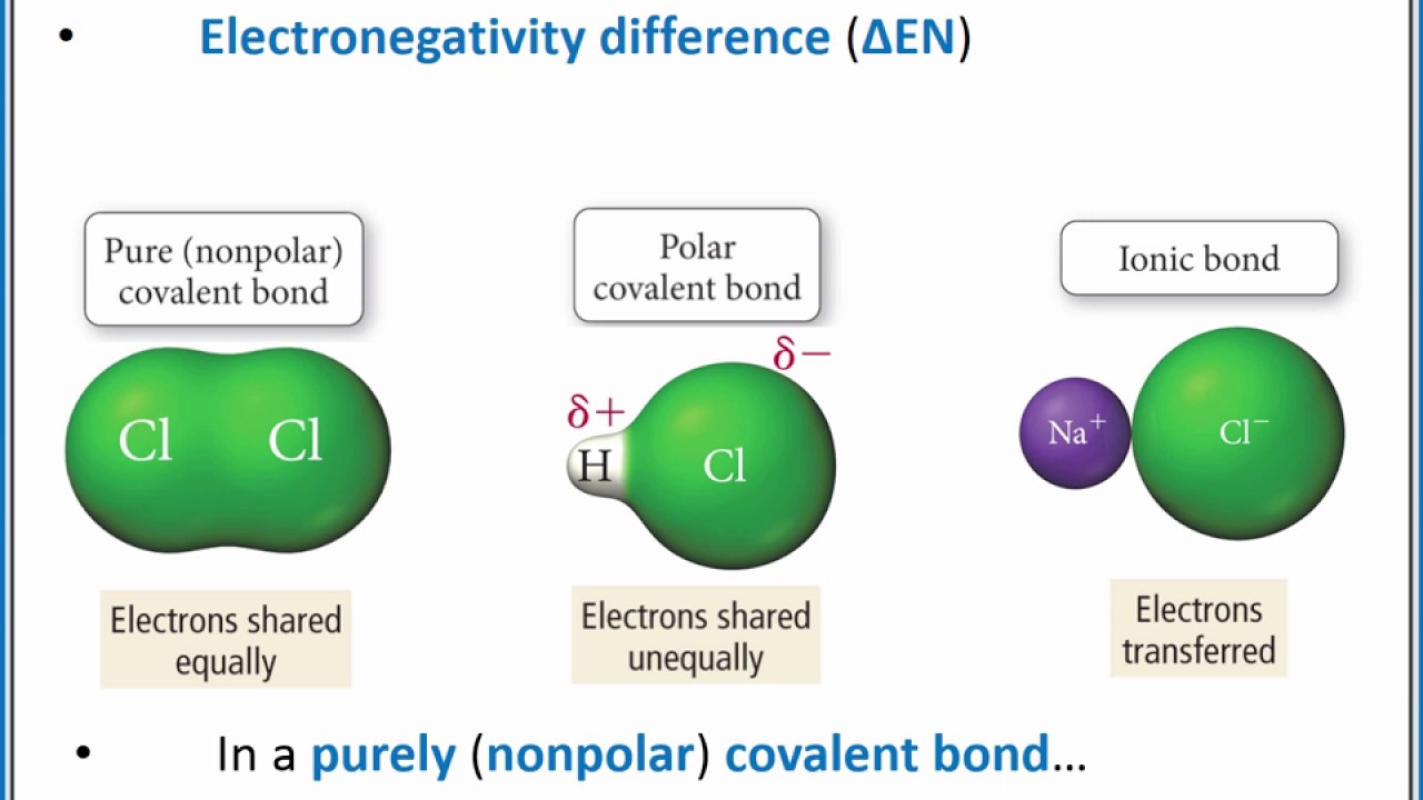 polar covalent molecule