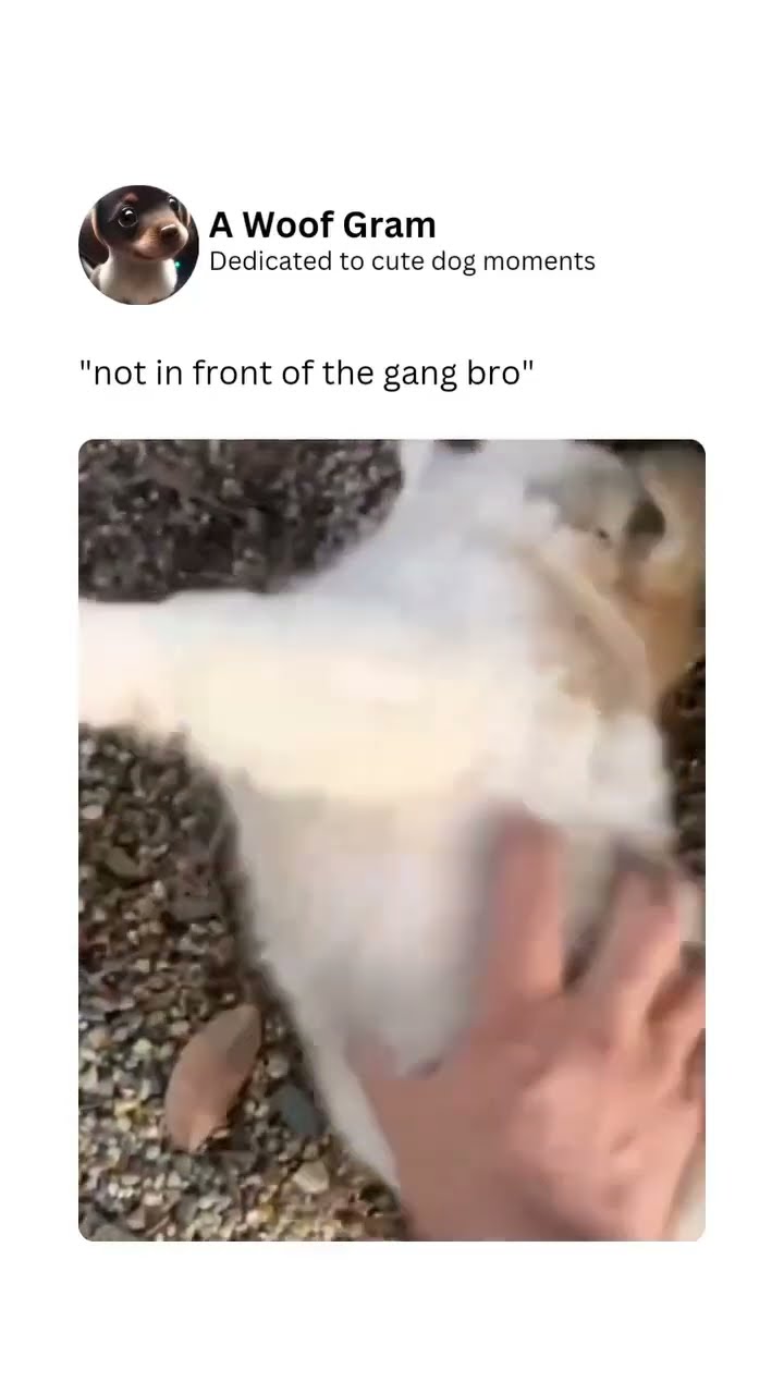 Doggyo like twin why you doing me like that you see the gang