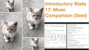 Introductory Stata 17: Mean Comparison (ttest)