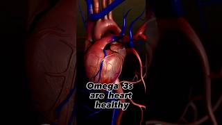 Omega -3s: The Most Valuable Fatty Acid In Existence (Dr. Robert Lustig)