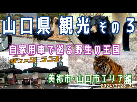 【山口観光(1泊2日)#3】美祢市･山口市エリア観光(秋吉台自然動物公園サファリランド/サファリゾーン探検/自家用車)※2024.02.23-24