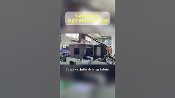 Printing variable data on label,each label is unique.#inkjetprinter #printer #uvprinter