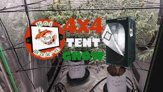 4X4 Tent | Season 2 Ep 10