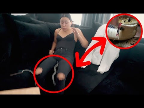 extreme-snake-prank-on-girlfriend!!-(she-gets-so-mad!)