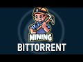 Майнинг Bittorrent и вывод из сайта unmineable на биржу Binance