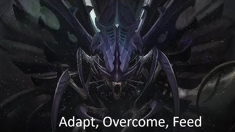 Synaptic Nexus