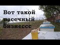 Катастрофическая ситуация с облётом маток на пасеке