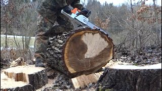 Test motorových pil Husqvarna 55 a Stihl MS 260 - Chainsaw Husqvarna 55 vs chainsaw Stihl MS 260