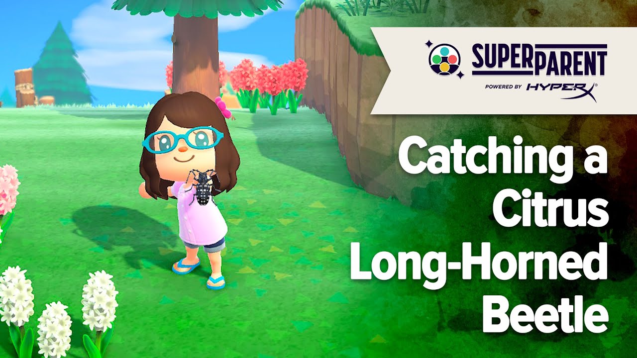 Animal Crossing: New Horizons - Catching a Citrus Long-Horned Beetle ...