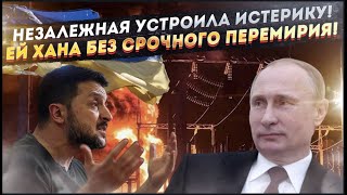 Путин мастерски «обставил» Запад! Киев уже умоляет его приехать в Венгрию!
