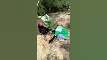 THANH NIÊN VỚI HÀNH TRÌNH XANH #hoiyeurac #shorts #green