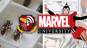 The Wasp: The Science of Wasps | Marvel University