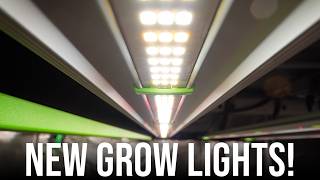 YOU NEED A BETTER GROW LIGHT