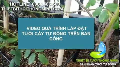 Lắp đặt hệ thống tưới cây tự động trên ban công, sân thượng