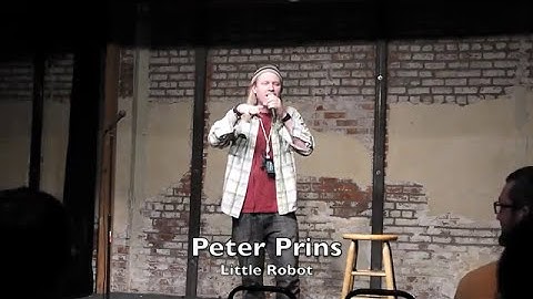 Peter Prins - Little Robots (2011)