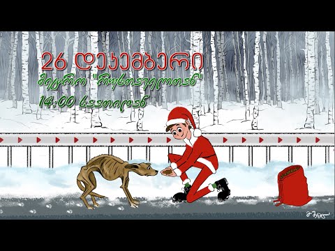 გახდი სანტა მიუსაფარი ცხოველებისთვის!