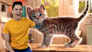 Little Kitten Adventures and Me - I'm in the Fun Pet Care Game