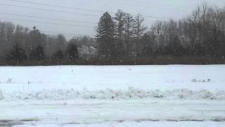 2012-12-29 - Snow (Claverack, NY) [RH]