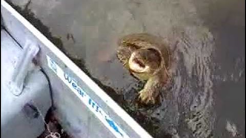 The Hunt For Bighead Part 6 of 8 "The Fighter"