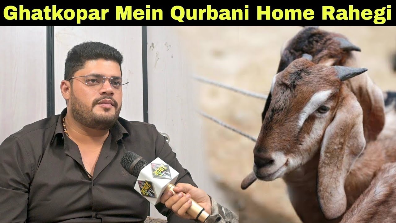 घाटकोपर में कुरबानी होके रहेगी, IBS Imran Shaikh ने उठाई आवाज़. | MUMBAI TV |