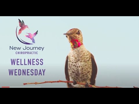 NEW JOURNEY CHIROPRACTIC WELLNESS WEDNESDAY POSTURE