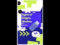 Types of Crypto Wallets Explained