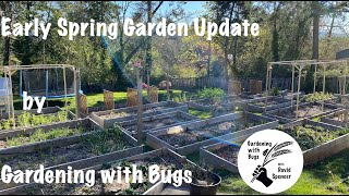 Early Spring Garden Update by Gardening with Bugs 93 views 2 years ago 29 minutes