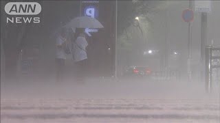 東京都心で記録的短時間大雨情報　鉄道などに影響も(2024年8月22日)