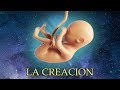 “La Creación” Génesis 1:1 Parte 1/2 Estudio Bíblico (11:11) 5778 - 2018