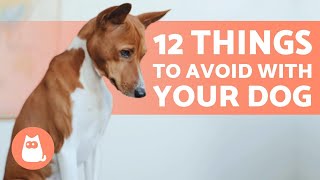 12 Things You Must NEVER Do to Your DOG 🐶