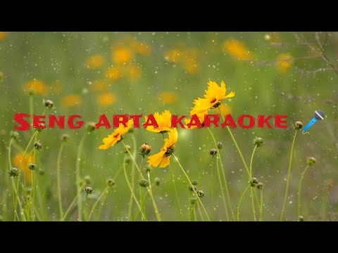 Seng Artakaraoke lyricsSonjit Ronghang ftAkangsha Inghipi  Seng Arta