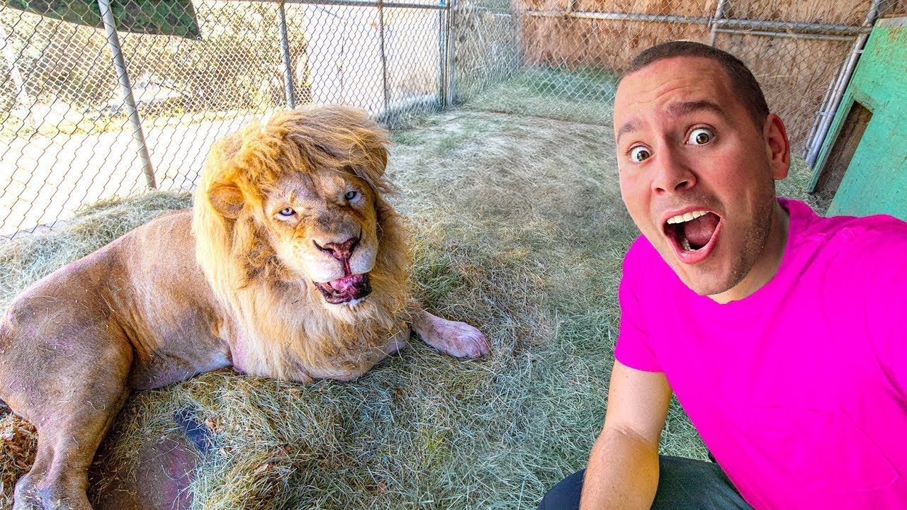 UŠAO SAM U ZABRANJENI ZOO VRT!