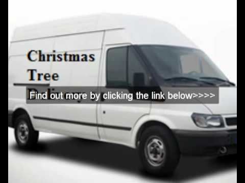 Real Xmas trees  Get a real Xmas tree delivered to home or business