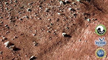 15 Second Science - From the deep biosphere to outer space