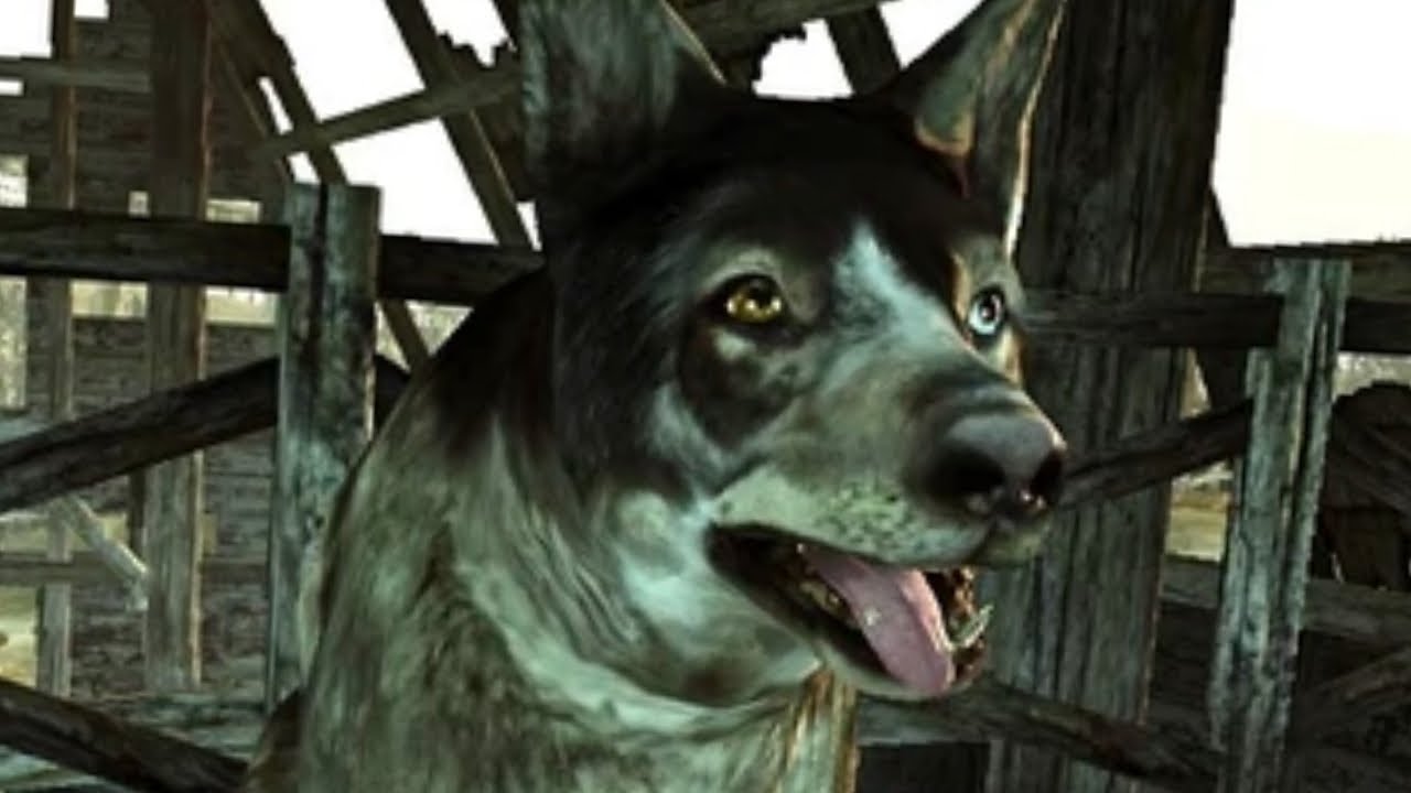 Fallout 3 - How to get DOGMEAT as a follower (Wasteland scrapyard