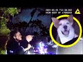 Duckmouth Drunk Runs Over Cop's Foot & Obliterates Innocent Mailbox
