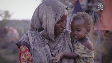 Desert locust control in Ethiopia