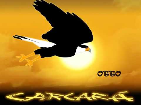 Carcará pega mata