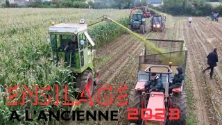 Ensilage à l'ancienne 2023 !!! Ouville/Manche(50)