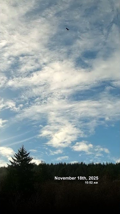 November 18, 2025 - Cloudy Northwest Skyscape Timelapse Video #timelapse #skyscape #sky #nature