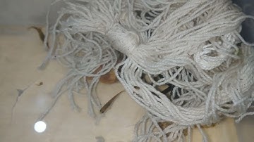 How I  Bred  Celestial  Pearl  Danios  At home