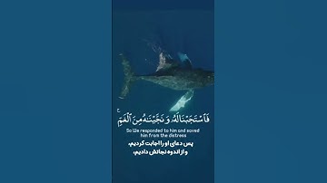 سوره مبارکه انبیاء آیه ۸۷ -۸۸ با ترجمه زیر نویس فارسی و انگلیسی