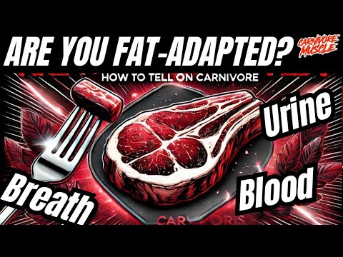 Keto Nows Breakthrough Episode On Shark Tank