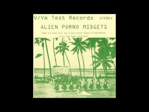 Alien Porno Midgets - High Altitude Over Our Little Grass Shack in Kealakekua (2000) [Full Album]