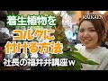 着生植物　コルクに　付ける方法　エアープランツ　ビカクシダ　固まる土　造形君【おうちでガーデニング】【おうちでグリーン】開花園チャンネル