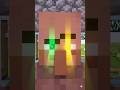 The fate of villagers who continued to usedisposable contact lenses #minecraft #minecraftmemes