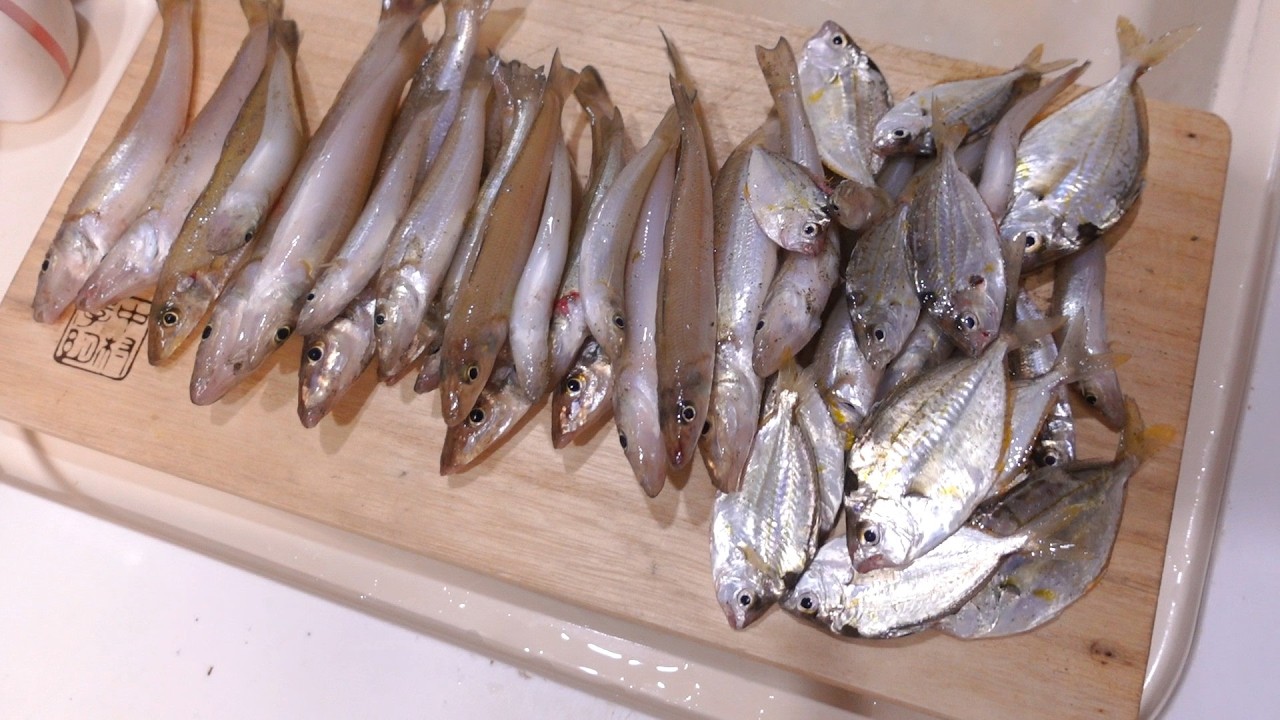 海磯などでフィッシングやられる方　必見 Caught Too Many Fish for the First Time in a While! Surf Fishing