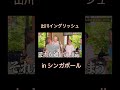 イッテQ 出川イングリッシュ大好き Inシンガポール イッテQ 出川イングリッシュ大好き Inシンガポール
