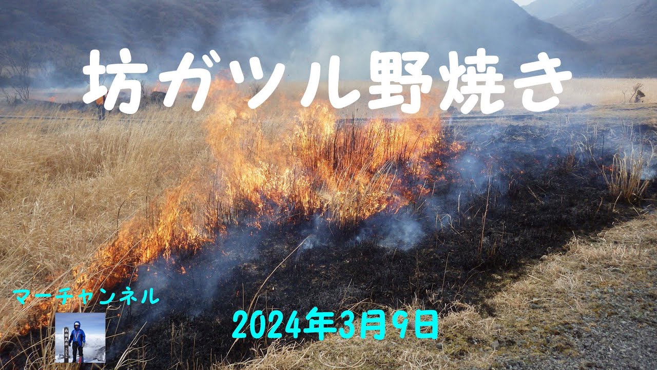 【坊ガツル 野焼き】2024年3月9日に大分県の九重連山で行われた野焼きです
