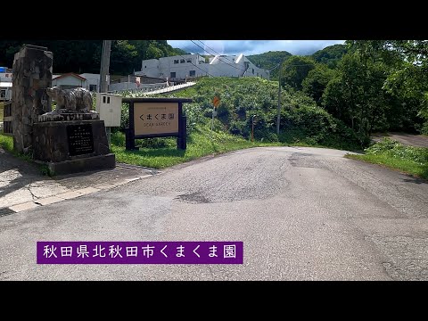 I Visited Kuma Kuma En in Kitaakita, Akita Prefecture